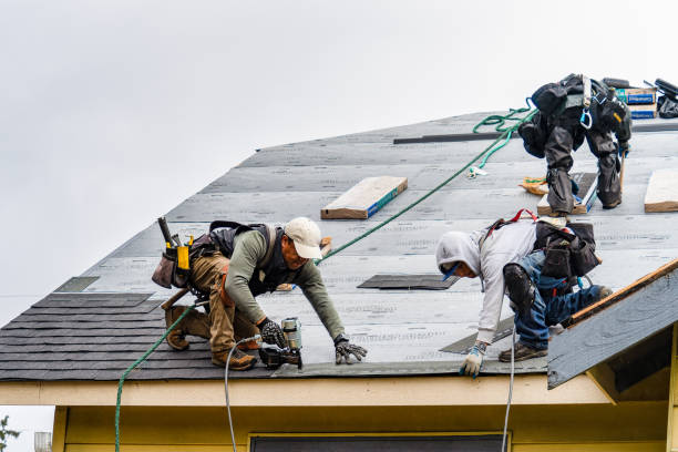 Professional Roofing technician working in Burtrum, MN